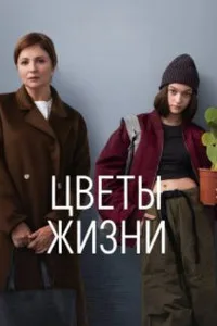 Цветы жизни 2024